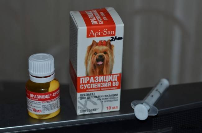 Prazicide Suspension Plus para perros Dosis