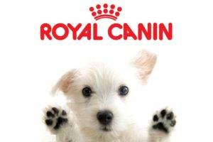 Comida para perros Royal Canin (Royal Canin)