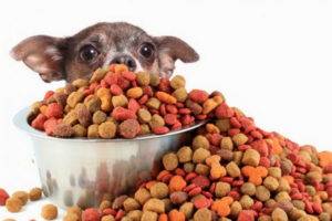 Alimento para perros hipoalergénico